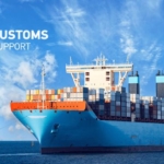 Морские перевозки, организация импортных и экспортных морских перевозок грузов